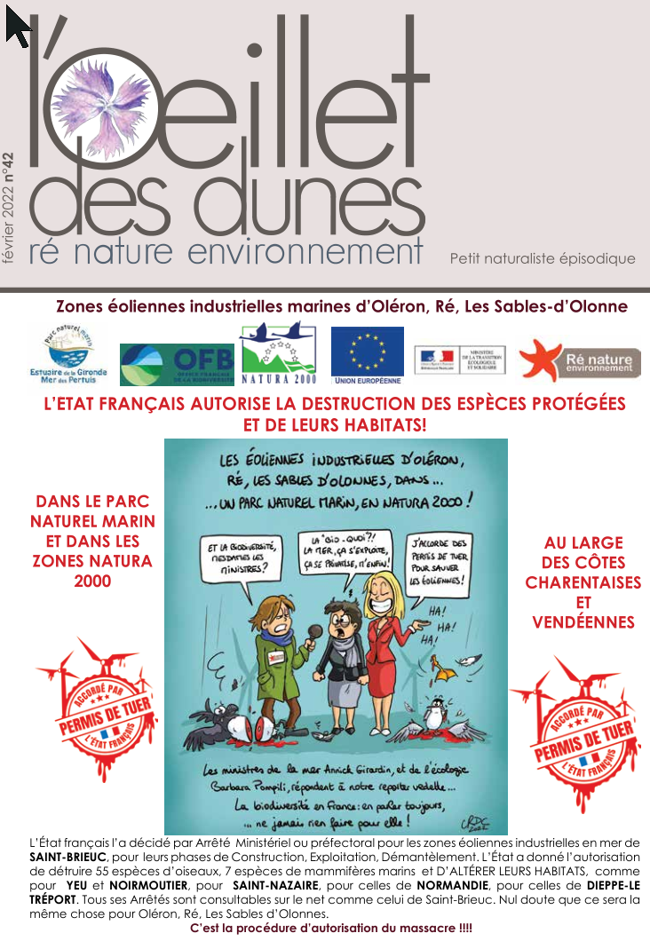 L’oeillet des Dunes n° 42 : le permis de tuer – l’Etat Français autorise la destruction d’espèces protégées et leurs habitats