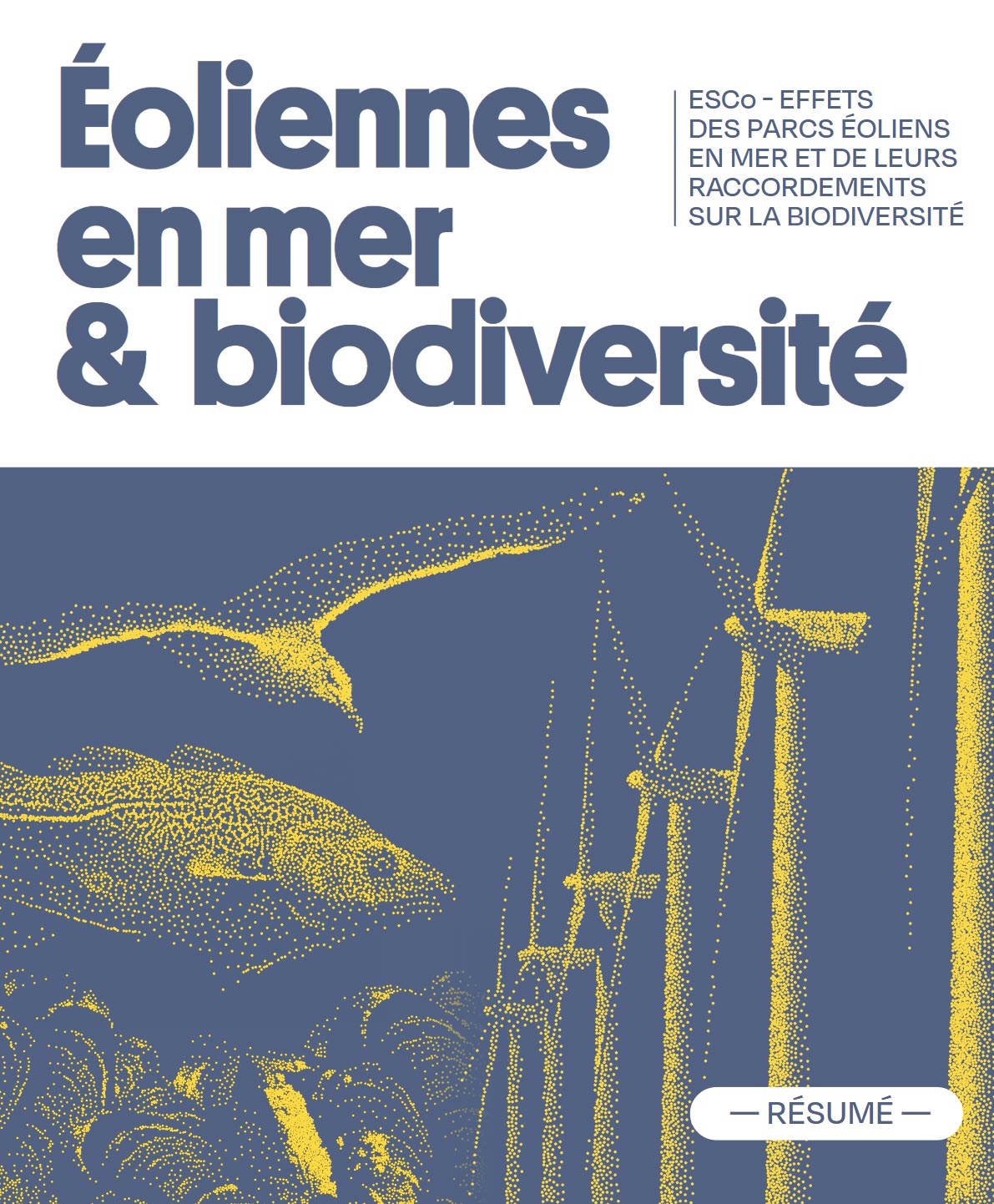 Eoliennes en mer et biodiversité